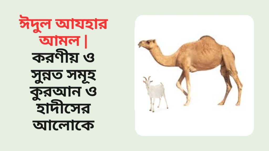 ঈদুল আযহার আমল
